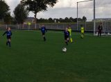 S.K.N.W.K. JO11-1JM - Colijnsplaatse Boys JO11-1 (competitie) seizoen 2022-2023 (najaar - 1e fase)) (22/69)